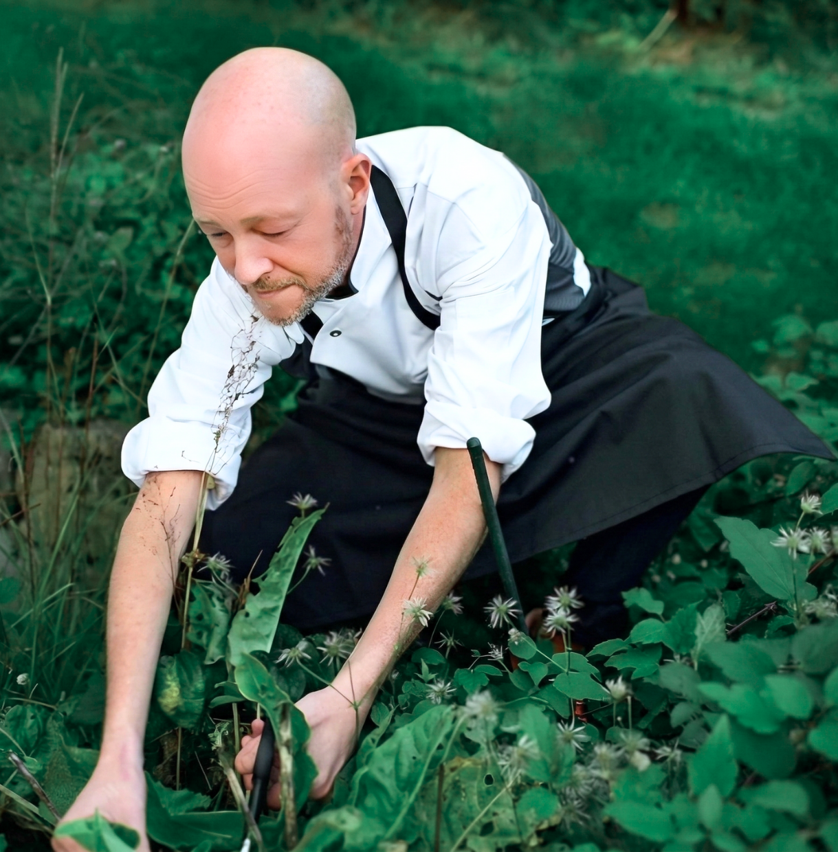 huck kräuter